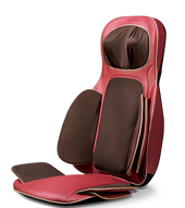 ZY-B300按摩坐墊